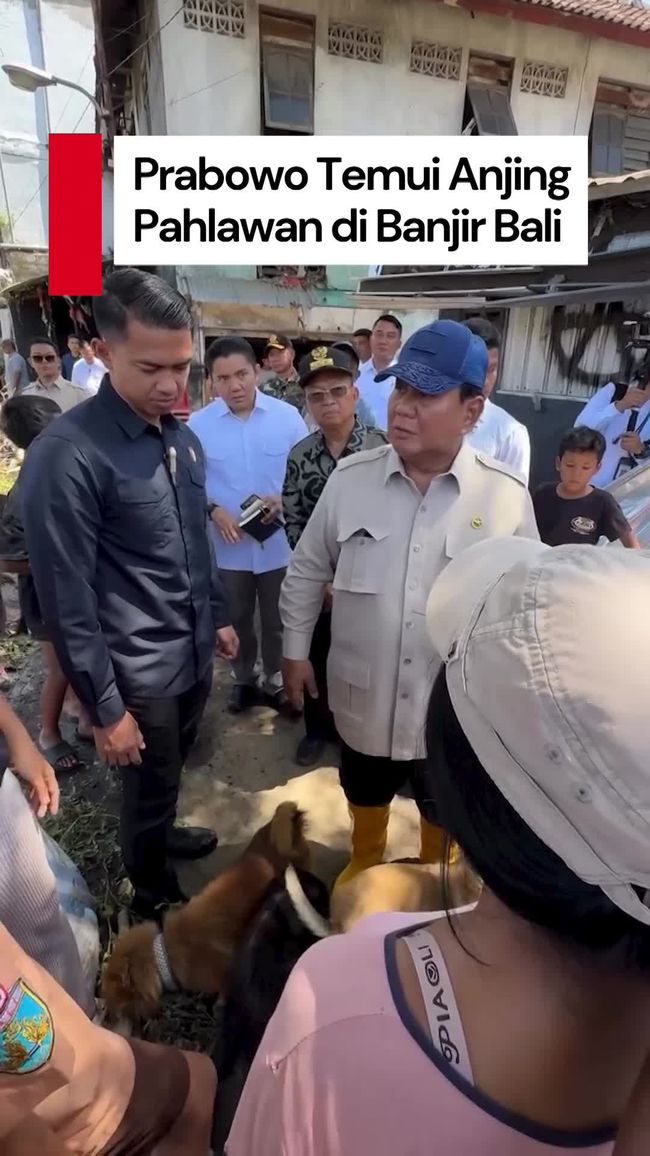 Prabowo Puji Anjing Penyelamat Tuannya saat Banjir di Bali: Kamu Pahlawan!