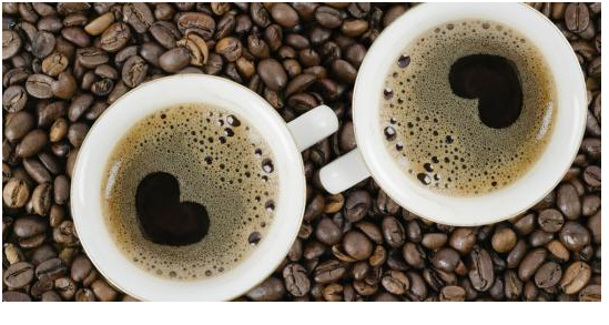 Kopi Gajah, Kopi Termahal Saat Ini Mengalahkan Kopi Luwak