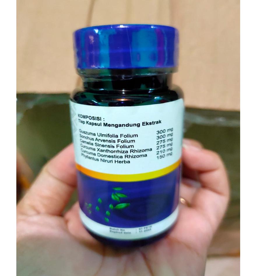 GOKOLES ASLI RESMI BPOM OBAT KOLESTEROL ASAM URAT