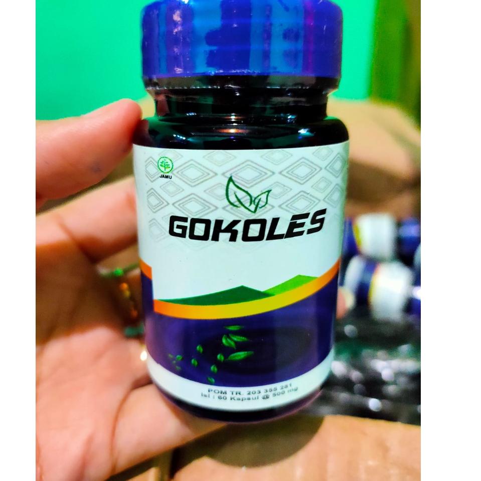 GOKOLES ASLI RESMI BPOM OBAT KOLESTEROL ASAM URAT