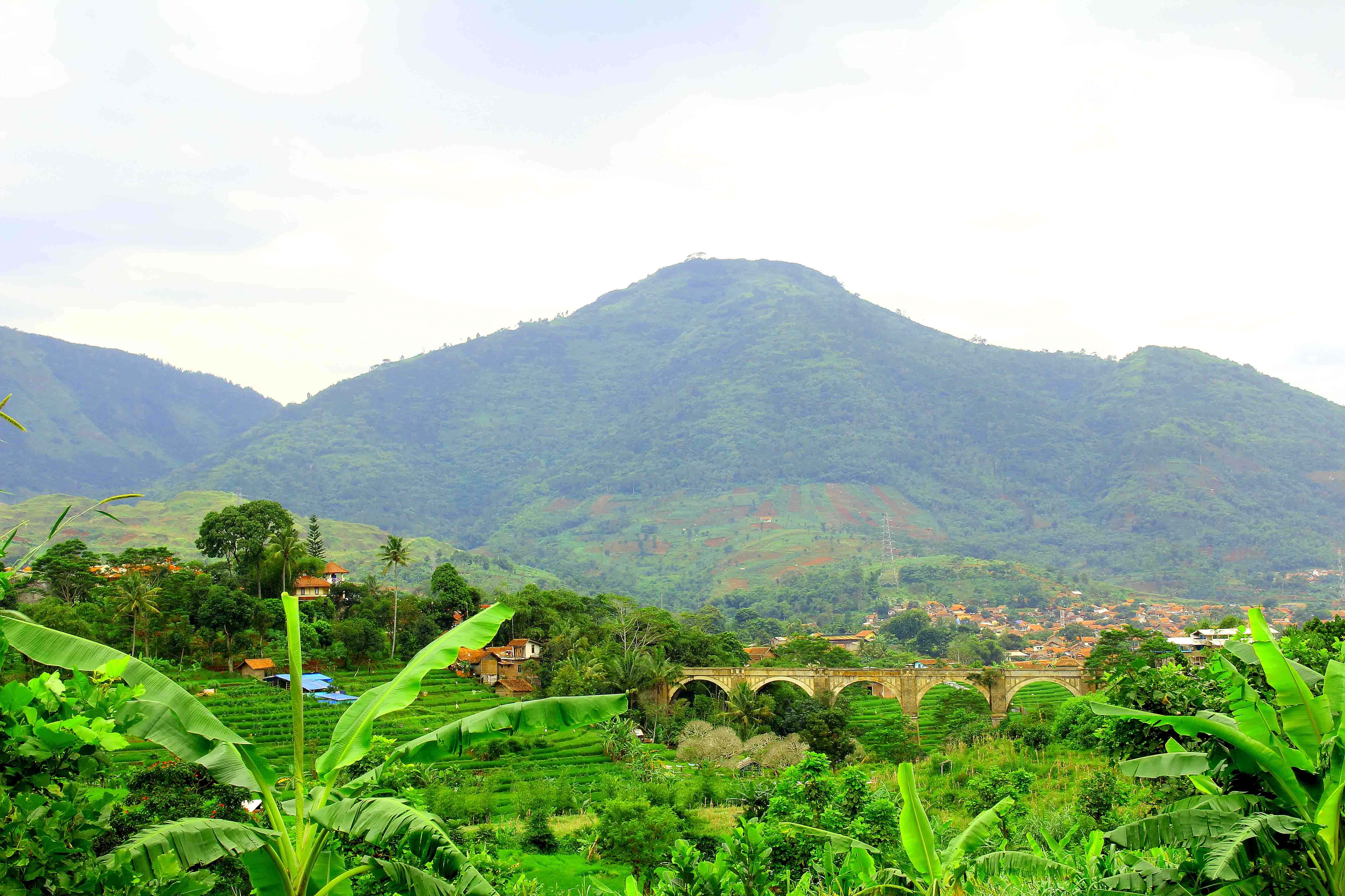 Jembatan Misterius Didunia
