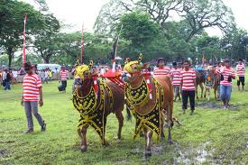 KEBUDAYAAN MASYARAKAT MADURA DENGAN CIRI KHAS YANG DIMILIKINYA