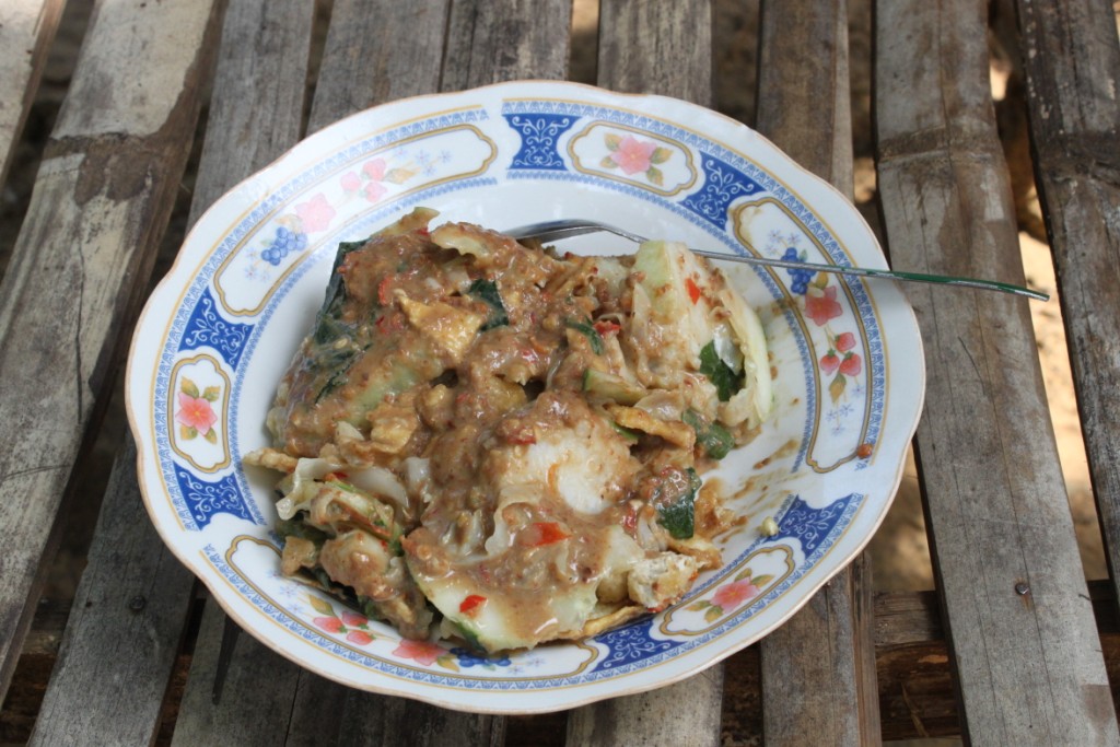 Berbagai Jenis Rujak Indonesia