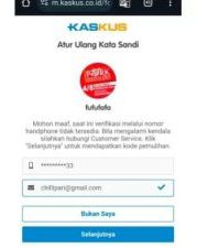 Menteri Hingga Anggota DPR Bela Gibran soal Akun Fufufafa yang Sering Hina Prabowo