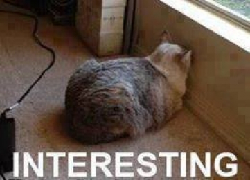 perjalanan-sukses-karir-animator-indonesia-di-studio-animasi-jepang