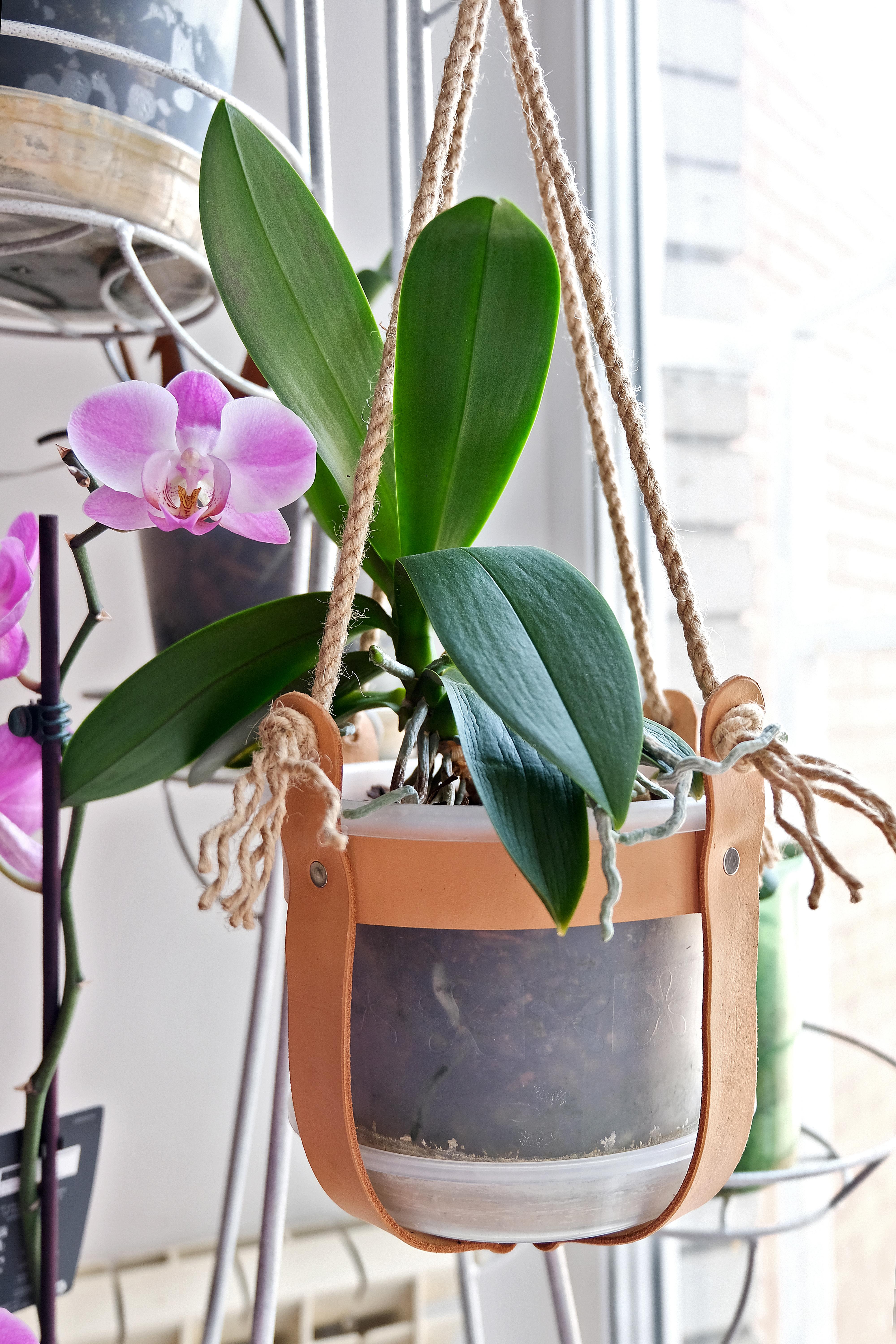 Bosen Nunggu Buka Puasa? Mending Ngabuburit Sambil Bikin Gantungan Tanaman Hias!