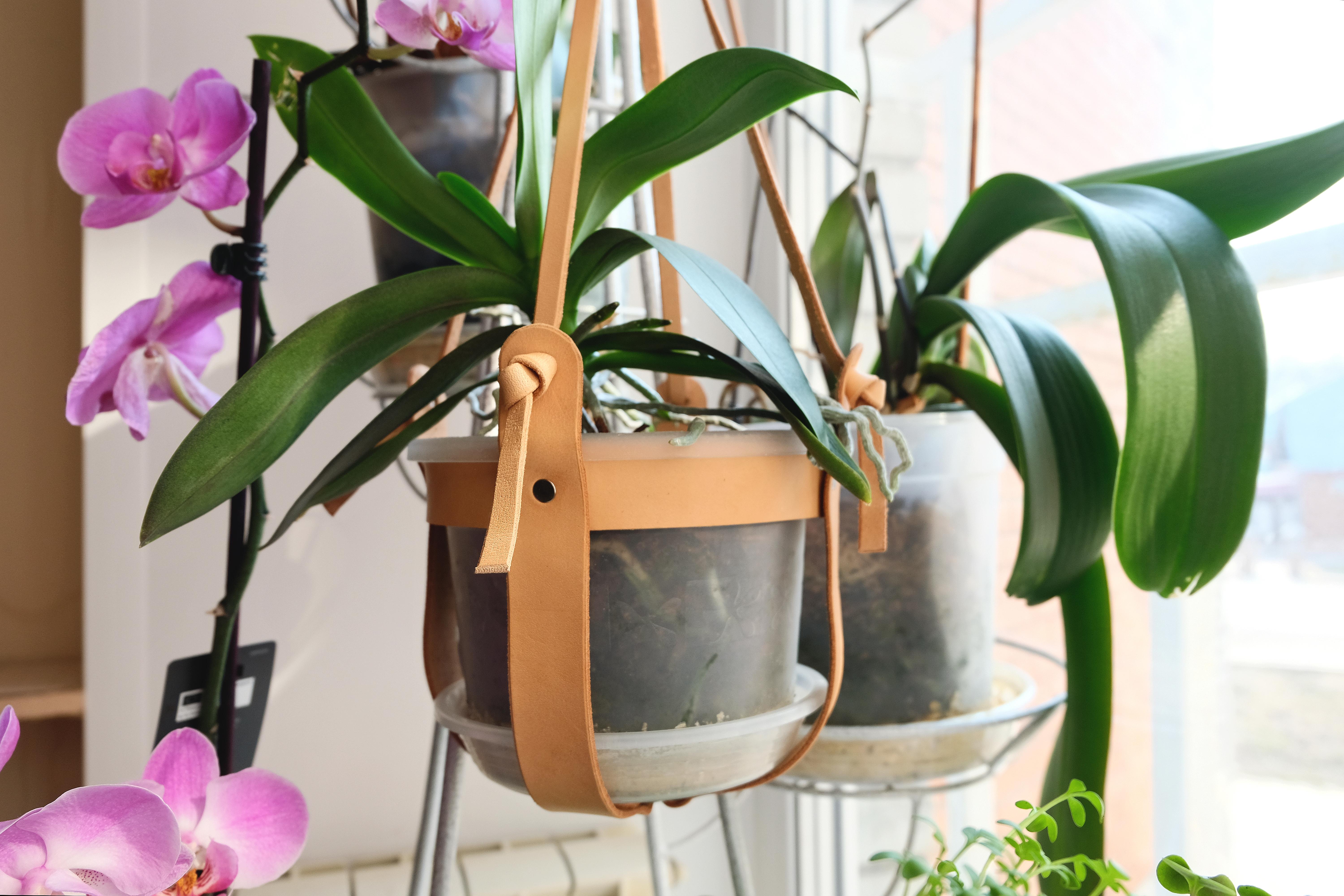 Bosen Nunggu Buka Puasa? Mending Ngabuburit Sambil Bikin Gantungan Tanaman Hias!