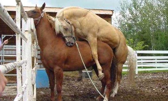 Agan wajib tahu!! Tips Agar Benih Lelaki Tetap Subur