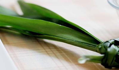 3 Bahan Alami Penghilang Bau Tak Sedap Pada Miss V