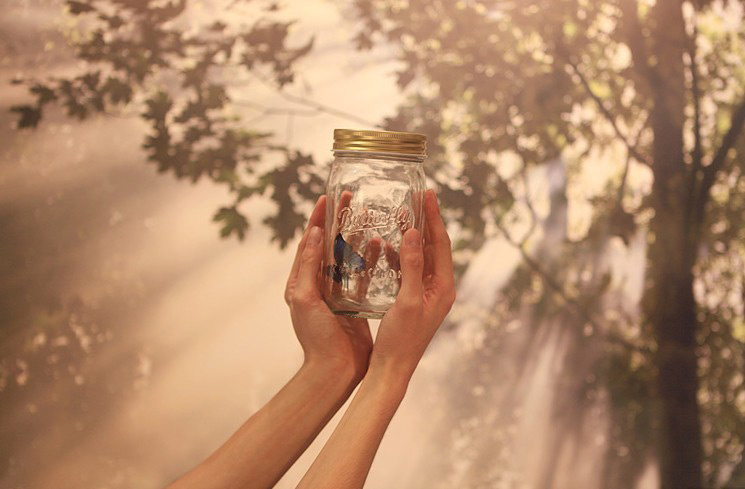 Butterfly Jar (Kupu-kupu Dalam Toples) Murah