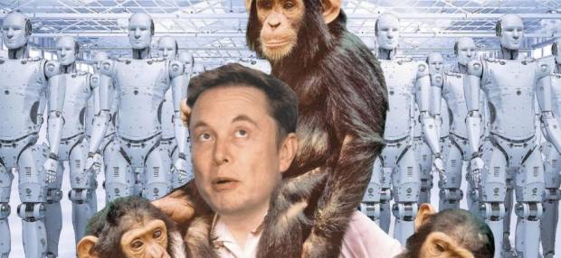 Elon Musk Ingin Monyet Bisa Main Game Seperti Manusia Di Masa Depan
