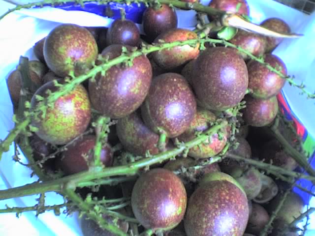 buah-buah-langka-quotdi-kotaquot