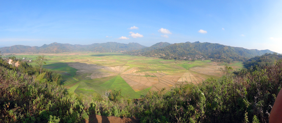 Lingko, Sawah Laba - Laba dari Timur Indonesia