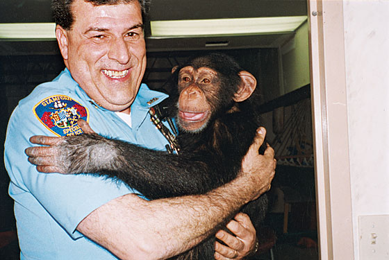 Keluarga Herold dan Tragedi Serangan Ganas Simpanse