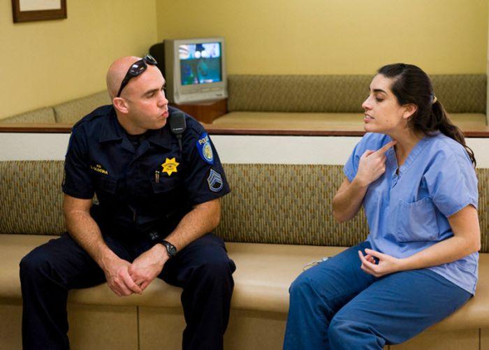 &#91;no hoax&#93;Anjing masih dapat Bertahan hidup setelah tertembak dari peluru