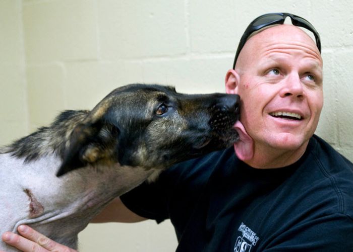 &#91;no hoax&#93;Anjing masih dapat Bertahan hidup setelah tertembak dari peluru