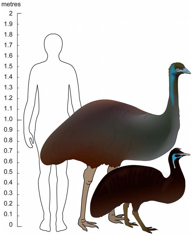 Perang Emu Raya