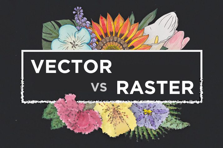 Vektor vs Raster: Apa yang Saya Gunakan?