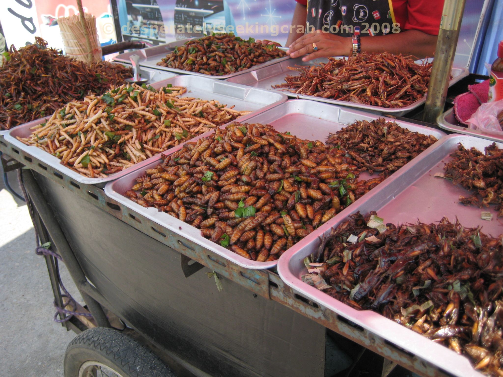 5 Jenis Makanan Gak Akan Busuk atau Kadarluarsa