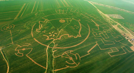 7 Crop Circle Terbesar Di dunia