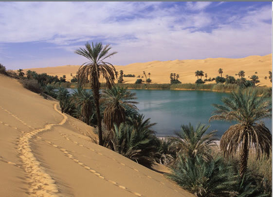 11 Fakta Dari Gurun Sahara