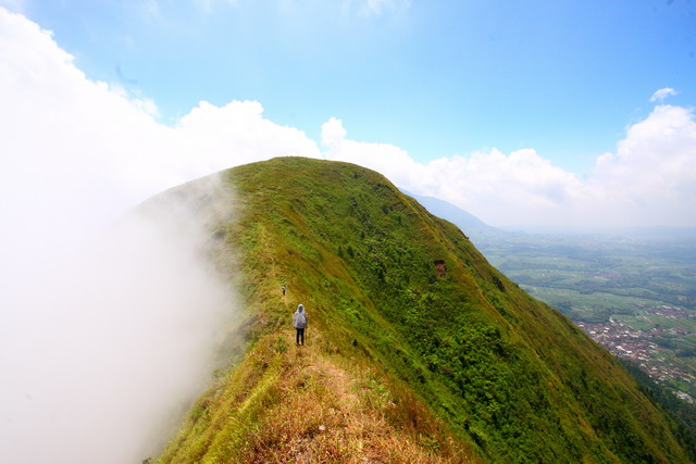 &#91;AJAKAN&#93; Naik-Naik ke Puncak Andong, Lanjut ke Telomoyo 7-9 Feb 2014