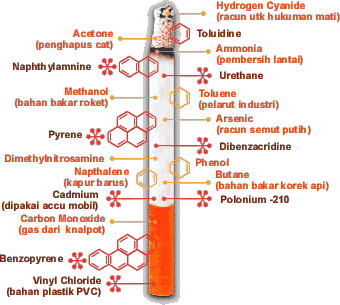 Rokok, Alkohol, dan Kafein berbahaya. Mau tau penyebabnya? OK, ane bahas disini!