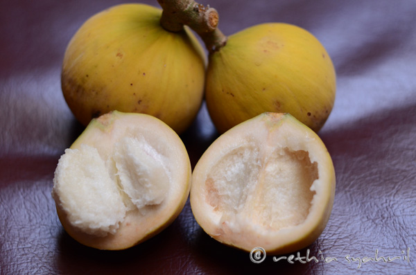 Buah - Buahan masa kecil, Anak2 sekarang masih doyan gk y??