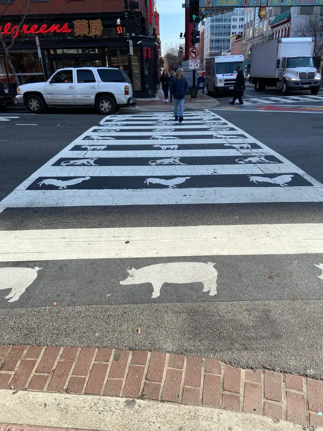 7 Foto Unik yang Ada di Dunia Ini, No 5 Bikin Ngilu