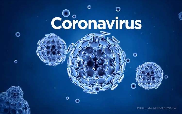 haruskah-pakai-hoax-virus-corona-di-social-media