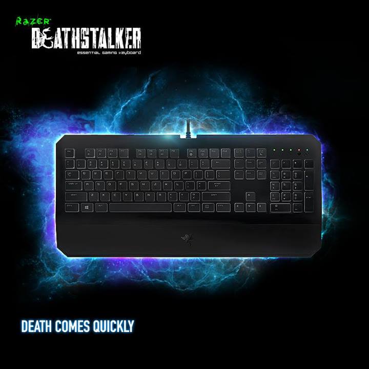 Razer Gaming Gear