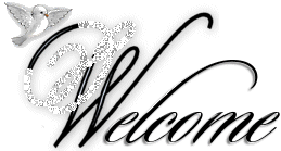 www.lingerieindonesia.com - High Quality lingerie