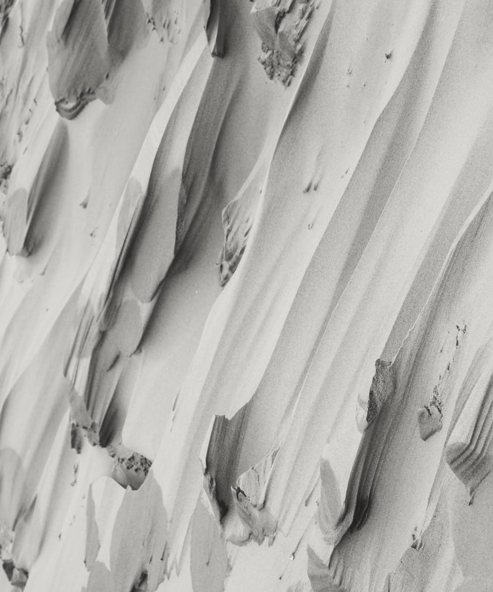 API: PAW percetakan advertising warahmah API Lapor Program 2025