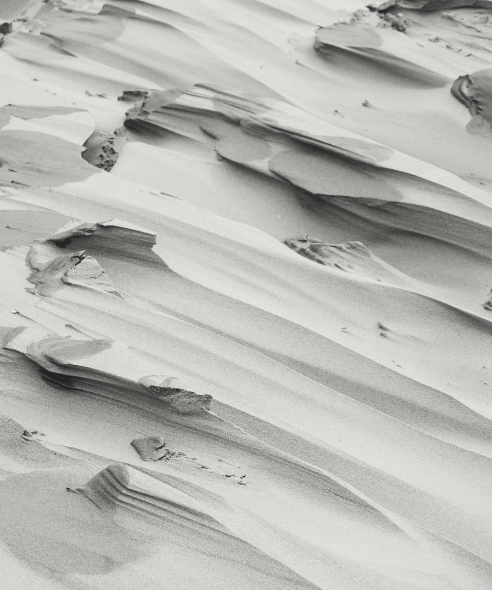 API: PAW percetakan advertising warahmah API Lapor Program 2025