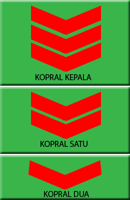 Inilah Urutan Pangkat TNI, Polri dan PNS di Indonesia