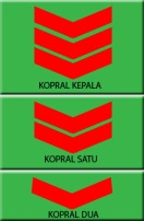 Tanda Level kepangkatan dalam TNI - POLRI yang belum tahu masuk