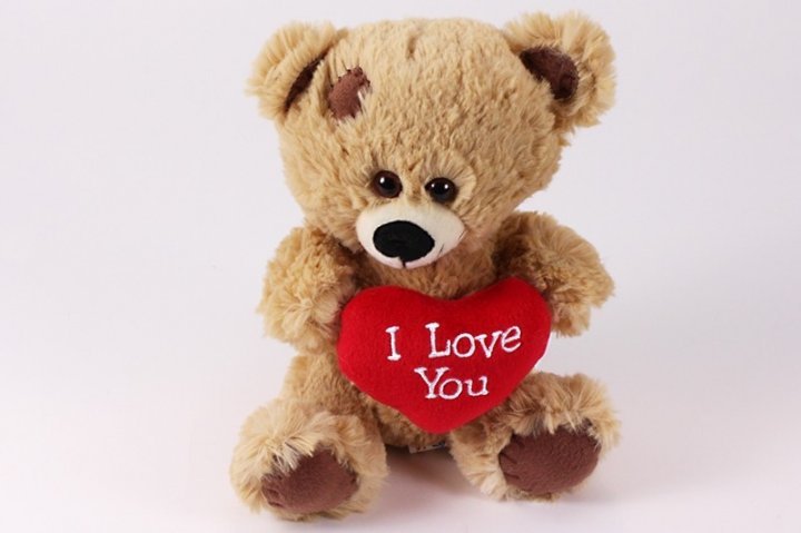 Bebek Ku Sayang