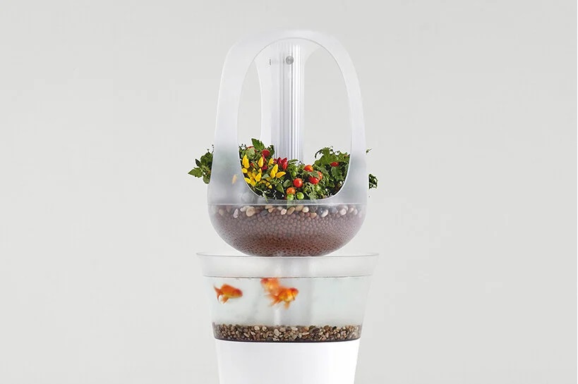 eva-pot-tanaman-dan-aquarium-yang-bisa-jadi-dekorasi-interior-rumahmu