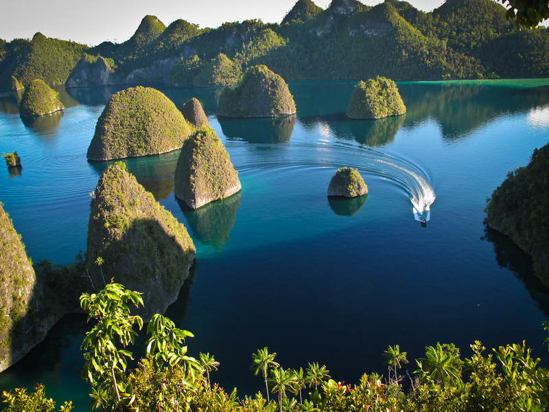 BACKPACKER KE RAJA AMPAT? WHY NOT