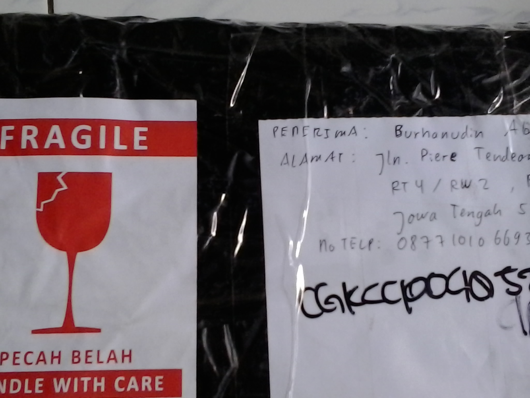 Polo Lacoste,Lacoste Live,Kemeja Ben Sherman,Nudie Jeans,Original,BNWT