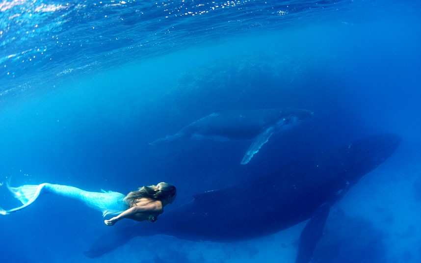 Mari Kita Intip Karya Underwater Hannah Fraser Menakjubkan Yuk