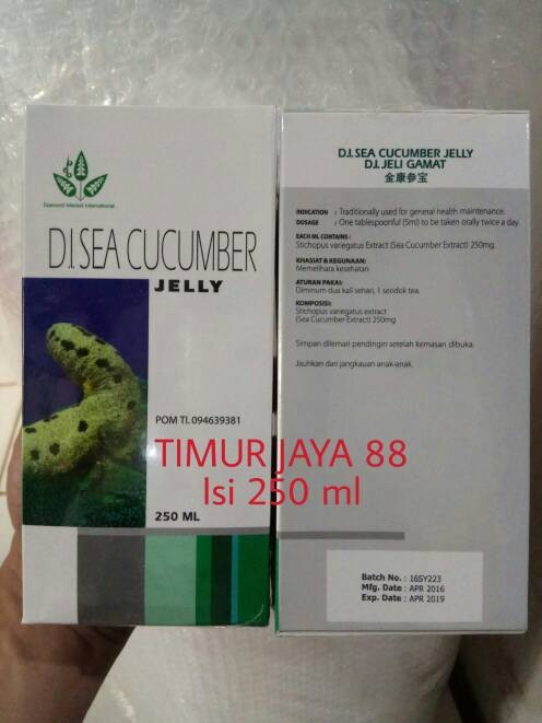Distributor Jelly Gamat Di Sea Cucumber Original Original