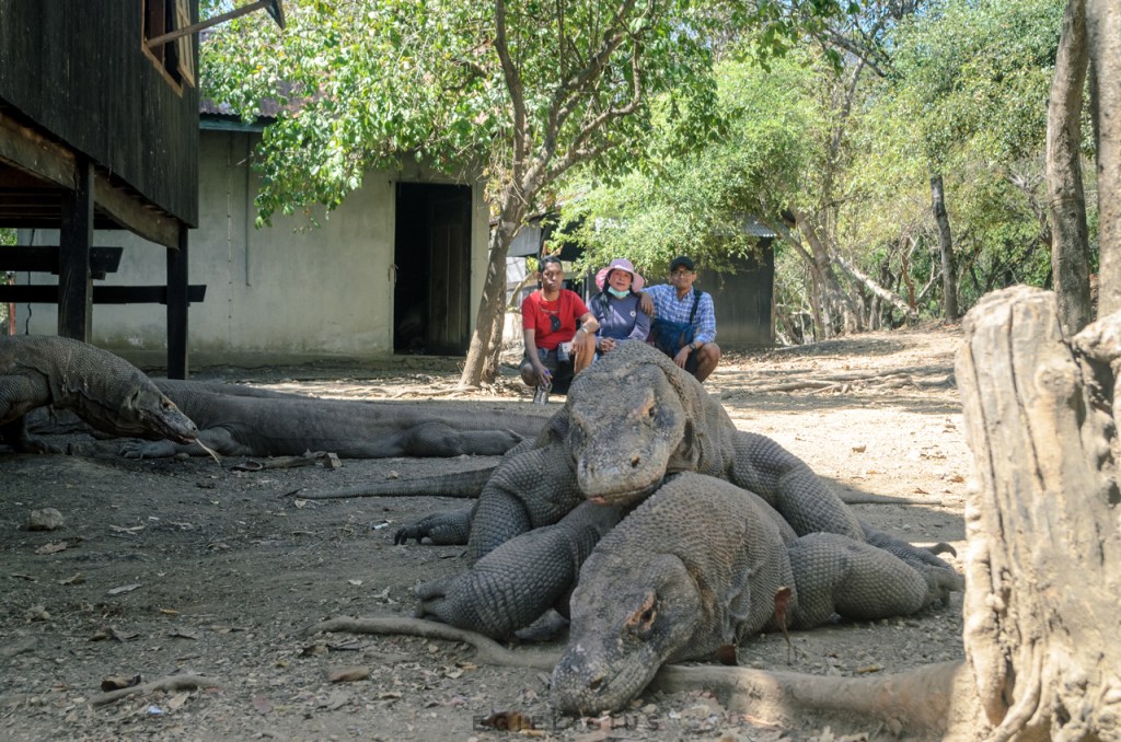 ratusan-ribu-petisi-mengecam-pembangunan-jurrasic-park-komodo