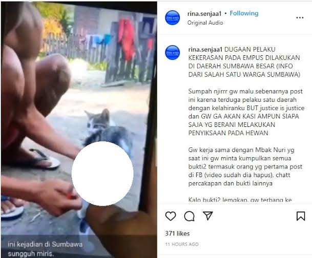 Nyalain Petasan di Anus Kucing? Anak Jaman Sekarang Gimana Kabarnya sih?