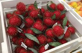 Khasiat Menakjubkan Buah Rambutan