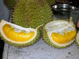 PADA SUKA DURIAN ??? MASUK