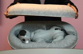 AIBO, Solusi Pecinta Anjing Yang Malas ke Pet Shop