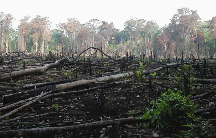 4 Jawaban Kenapa Daerahmu Kebanjiran