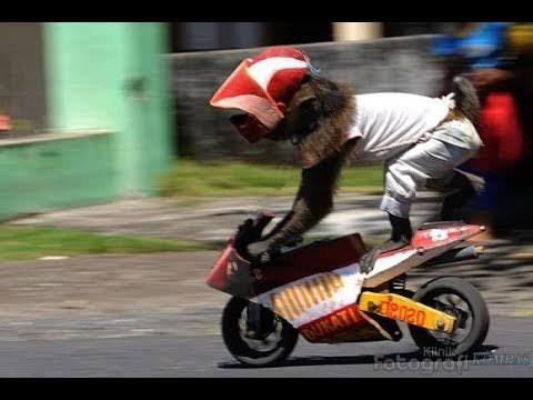 JENIS-JENIS BADUT BERDASARKAN KATEGORI 🤡 🤡🤡