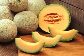 Budi Daya Melon, Dari Lahan Sempit Menjadi Jutawan